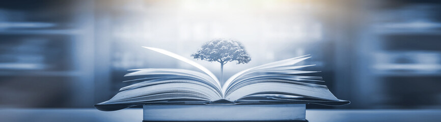 南京适合自习的地方。