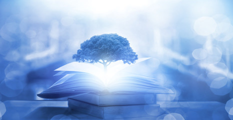 河南省鹤壁山城区到山东日照坐 小轿车有多少公里-