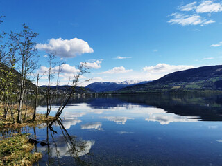 河南省鹤壁山城区到山东日照坐 小轿车有多少公里-