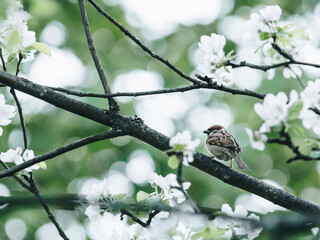 地球会如何灭亡？
