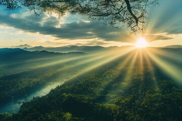 基因组dna提取的原理