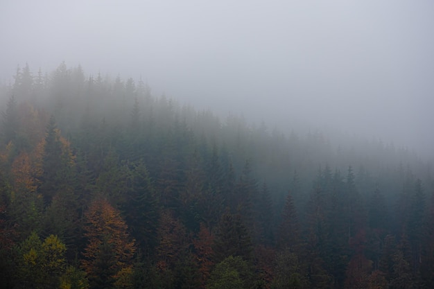 广西贵港市桂平市有多少人口
