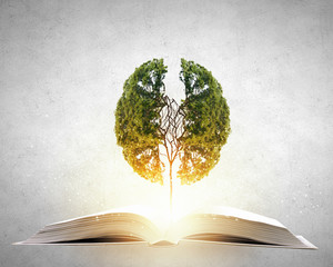 河南省鹤壁山城区到山东日照坐 小轿车有多少公里-