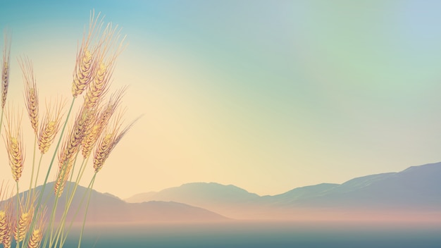 南京适合自习的地方。