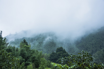 基因组dna提取的原理